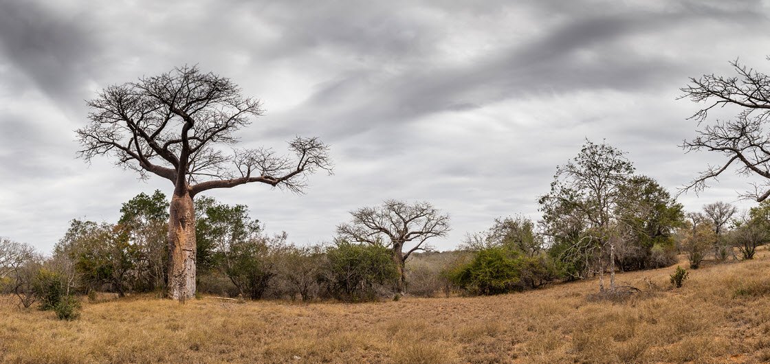 Zinave National Park, Inhambane Province, Mozambique